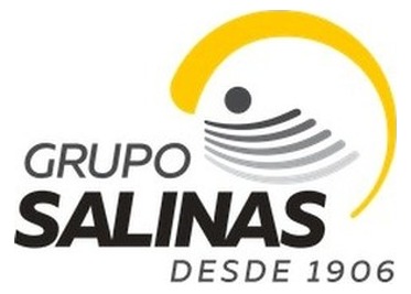 Grupo Salinas